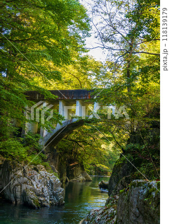 岩手県住田町葉山めがね橋水園 岩手県住田町葉山めがね橋水園 118139179