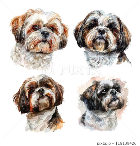 Four watercolor portraits of adorable Shih Tzus head dog, showcasing their fluffy fur and expressive eyes. Pet, Dog lover. 118139426