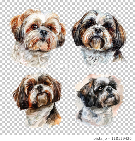 Four watercolor portraits of adorable Shih Tzus head dog, showcasing their fluffy fur and expressive eyes. Pet, Dog lover. 118139426