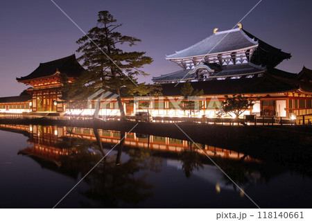 ライトアップ大仏殿 118140661