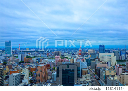 NEXT21展望台より朱鷺メッセ　万代島ビル、メディアシップ方面のビル街を望む 118141134