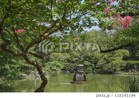 東京　日比谷公園の雲形池とサルスベリの花 118141194