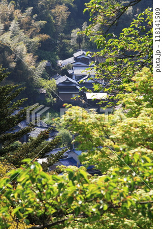 新緑に包まれた集落の風景 118141509