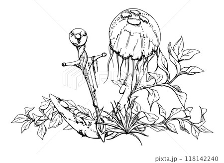 Jellyfish with anchor algae Marine life, sea ocean underwater creatures animal, Ink and pen sketch hand drawn. Composition illustration, stylized isolated on white. Shop, aquarium, cosmetics, resort Jellyfish with anchor algae Marine life, sea ocean underwater creatures animal, Ink and pen sketch hand drawn. Composition illustration, stylized isolated on white. Shop, aquarium, cosmetics, resort 118142240