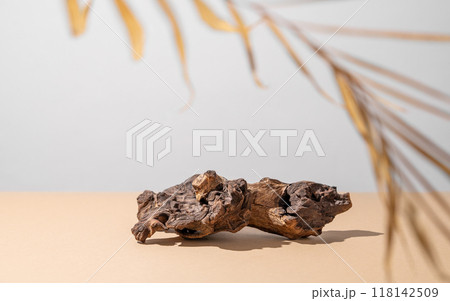Natural wood driftwood with a complex texture on a beige background with a dry palm leaf and shadow. Natural wood driftwood with a complex texture on a beige background with a dry palm leaf and shadow. 118142509