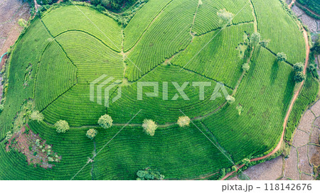 Beautiful aerial view of Long Coc tea hills. Long Coc in Phu Tho Province, Vietnam Beautiful aerial view of Long Coc tea hills. Long Coc in Phu Tho Province, Vietnam 118142676