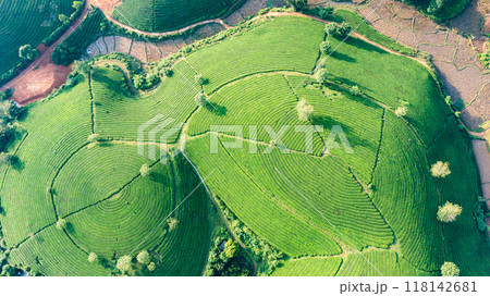 Beautiful aerial view of Long Coc tea hills. Long Coc in Phu Tho Province, Vietnam Beautiful aerial view of Long Coc tea hills. Long Coc in Phu Tho Province, Vietnam 118142681