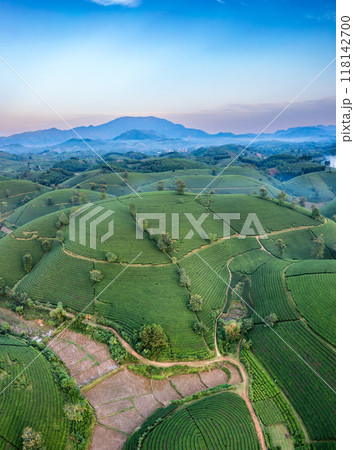 Beautiful aerial view of Long Coc tea hills. Long Coc in Phu Tho Province, Vietnam 118142700