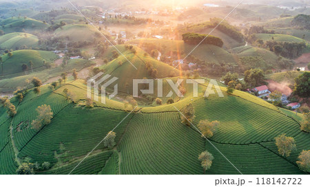 Beautiful aerial view of Long Coc tea hills. Long Coc in Phu Tho Province, Vietnam Beautiful aerial view of Long Coc tea hills. Long Coc in Phu Tho Province, Vietnam 118142722