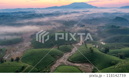 Beautiful aerial view of Long Coc tea hills. Long Coc in Phu Tho Province, Vietnam Beautiful aerial view of Long Coc tea hills. Long Coc in Phu Tho Province, Vietnam 118142739