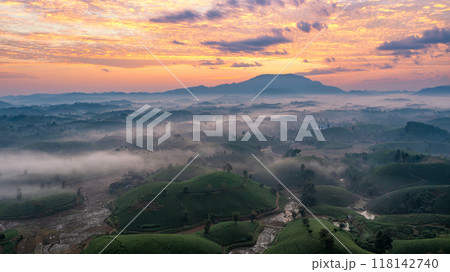 Beautiful aerial view of Long Coc tea hills. Long Coc in Phu Tho Province, Vietnam Beautiful aerial view of Long Coc tea hills. Long Coc in Phu Tho Province, Vietnam 118142740