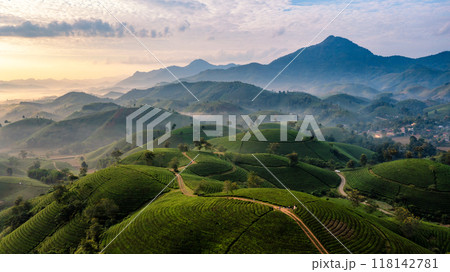 Beautiful aerial view of Long Coc tea hills. Long Coc in Phu Tho Province, Vietnam Beautiful aerial view of Long Coc tea hills. Long Coc in Phu Tho Province, Vietnam 118142781