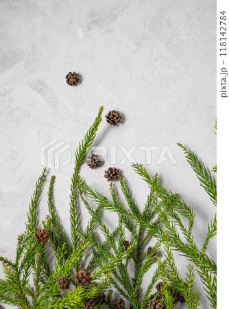 Flat lay fir tree. Decoration of a coniferous branch and pine cones on a gray textural background.  118142784