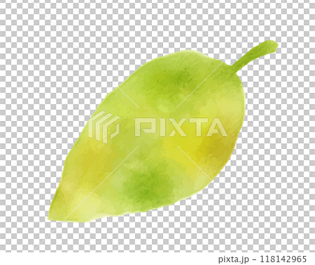 水彩の枯れ葉のイラスト　落ち葉　紅葉 118142965