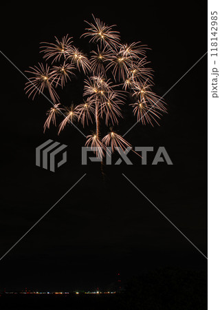 3市連携利根川花火大会 3市連携利根川花火大会 118142985