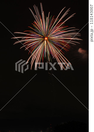 3市連携利根川花火大会 3市連携利根川花火大会 118143007