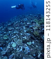 サンゴの白化現象が起きている宮古島の海とダイバー 118143255