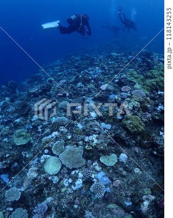 サンゴの白化現象が起きている宮古島の海とダイバー サンゴの白化現象が起きている宮古島の海とダイバー 118143255