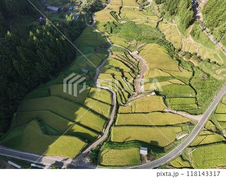 四谷千枚田、夏の朝の風景を空撮 四谷千枚田、夏の朝の風景を空撮 118143317