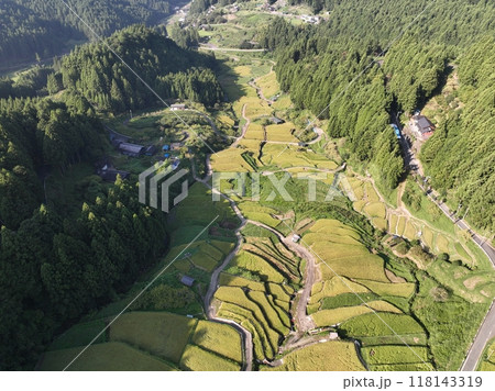 四谷千枚田、夏の朝の風景を空撮 118143319