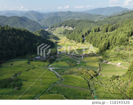 四谷千枚田、夏の朝の風景を空撮 四谷千枚田、夏の朝の風景を空撮 118143320