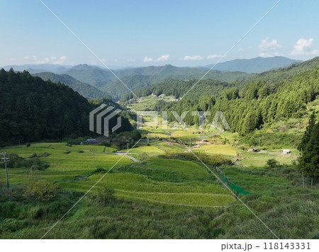 四谷千枚田、夏の朝の風景を空撮 四谷千枚田、夏の朝の風景を空撮 118143331