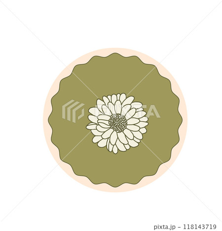 Chrysanthemum round badge isolated on white background. Vector hand drawn illustration Chrysanthemum round badge isolated on white background. Vector hand drawn illustration 118143719
