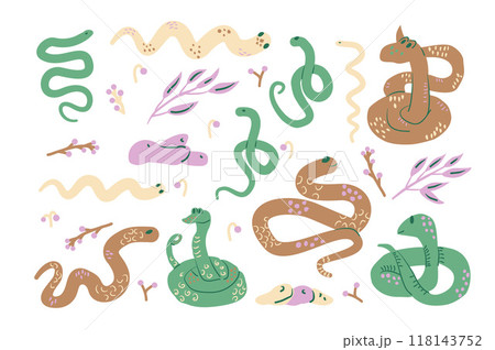 Set of snakes. Crawling reptile with leaves and berries kit. Vector hand drawn collection illustration isolated on white background. 118143752