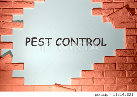 PEST CONTROL written on the wall under the dismantled bricks 118143821