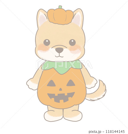 ハロウィンの仮装をした犬のイラスト かぼちゃ ハロウィンの仮装をした犬のイラスト かぼちゃ 118144145