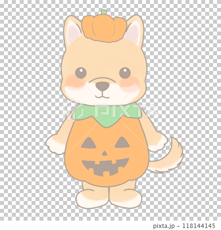 ハロウィンの仮装をした犬のイラスト かぼちゃ ハロウィンの仮装をした犬のイラスト かぼちゃ 118144145