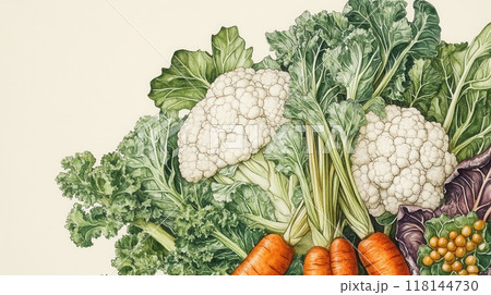 Detailed botanical drawing of vegetable harvest 118144730