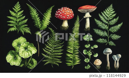 Detailed botanical illustration with plants and mushrooms 118144929