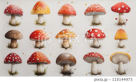 Detailed botanical drawing pattern showcasing different mushrooms Detailed botanical drawing pattern showcasing different mushrooms 118144973