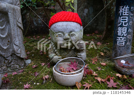 Buddhist statues at Daisho-in Temple, Miyajima Island, Japan 118145346