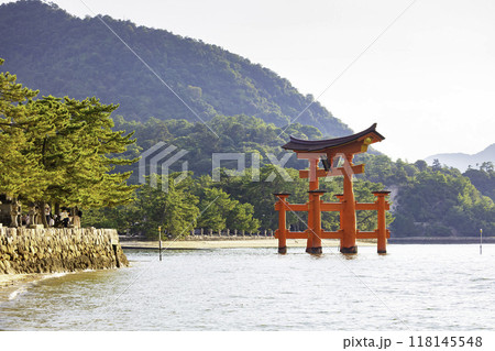 日本三景のひとつである嚴島神社の大鳥居（広島県廿日市市宮島町） 118145548