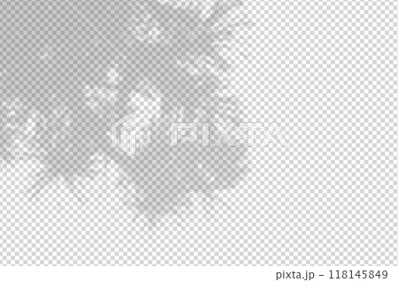 Shadow overlay from a pine tree branch isolated on a transparent background. 118145849