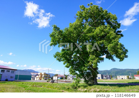 幌加内駅(JR北海道・深名線)廃駅 幌加内駅(JR北海道・深名線)廃駅 118146649