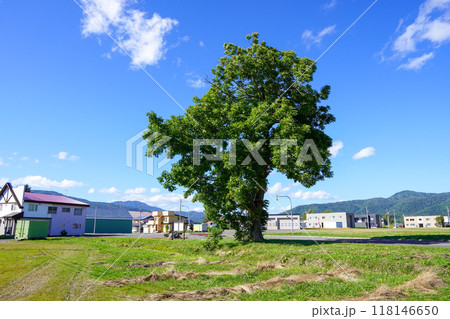 幌加内駅(JR北海道・深名線)廃駅 幌加内駅(JR北海道・深名線)廃駅 118146650