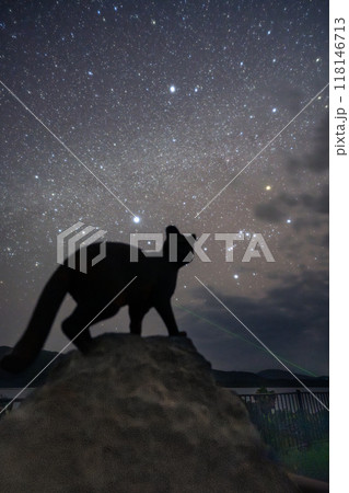 イリオモテヤマネコ 銅像 オリオン座 星 イリオモテヤマネコ 銅像 オリオン座 星 118146713