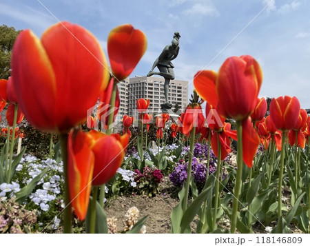 赤いチューリップ 118146809
