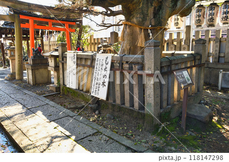 満足稲荷神社 御神木 もちの木と岩神さん(京都市左京区) 満足稲荷神社 御神木 もちの木と岩神さん(京都市左京区) 118147298