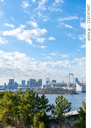 東京都お台場 レインボーブリッジのある風景 東京都お台場 レインボーブリッジのある風景 118147407