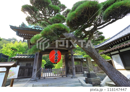 長谷寺 118147447