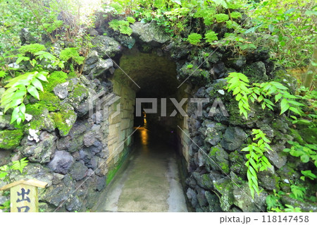長谷寺 118147458