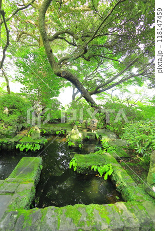 長谷寺 118147459