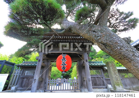 長谷寺 長谷寺 118147461