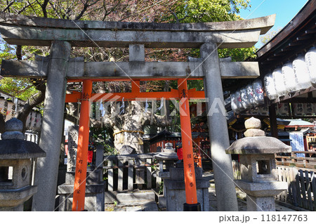 満足稲荷神社　御神木 もちの木と岩神さん（京都市左京区） 118147763