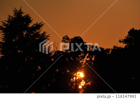 夕焼けの空と沈む夕日と木 夕焼けの空と沈む夕日と木 118147991