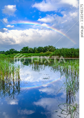 【水面に映る虹】虹が出た御宝田遊水池【安曇野市】 118148175